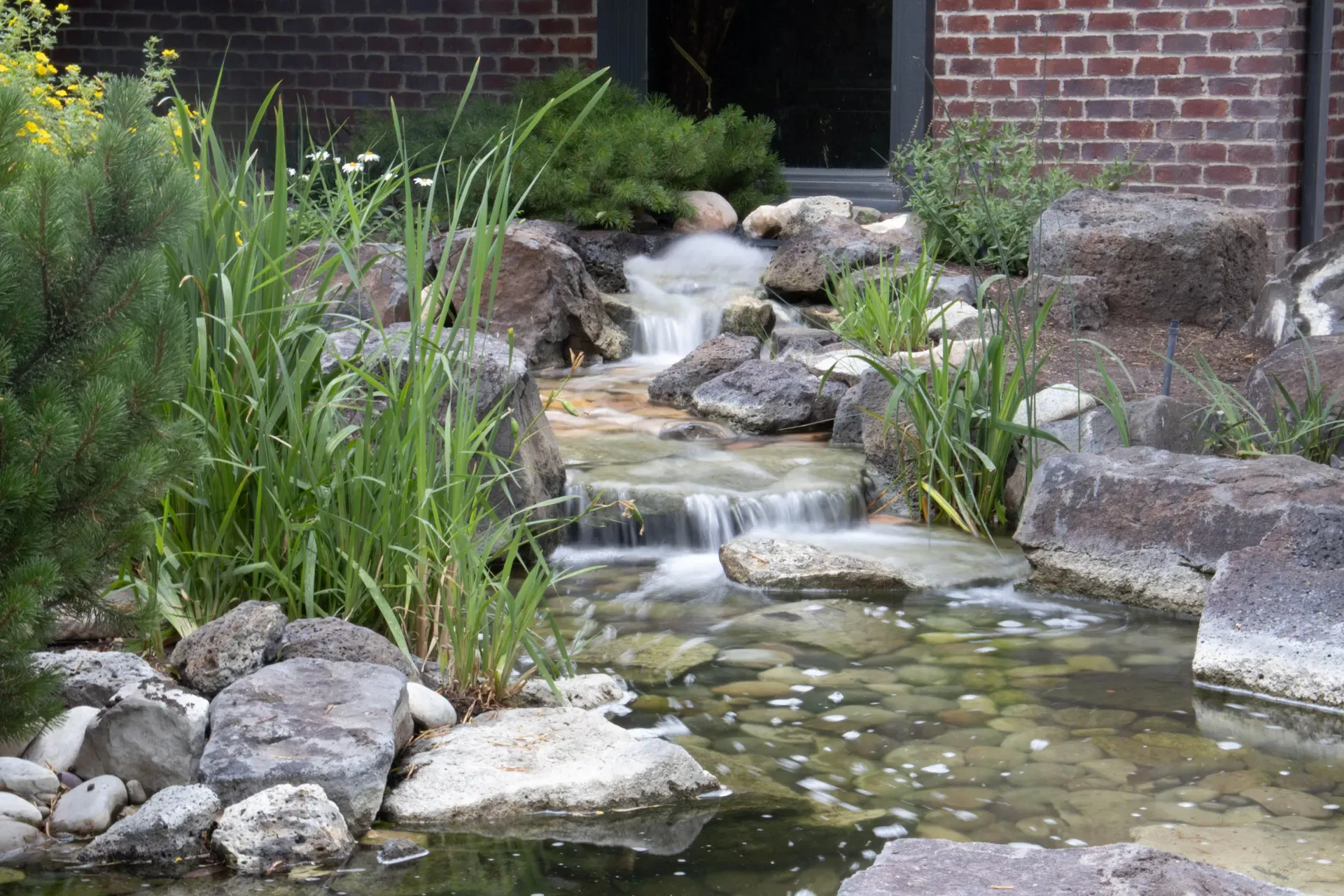 Backyard pond and waterfall water feature edged with stone, illustrative imagery